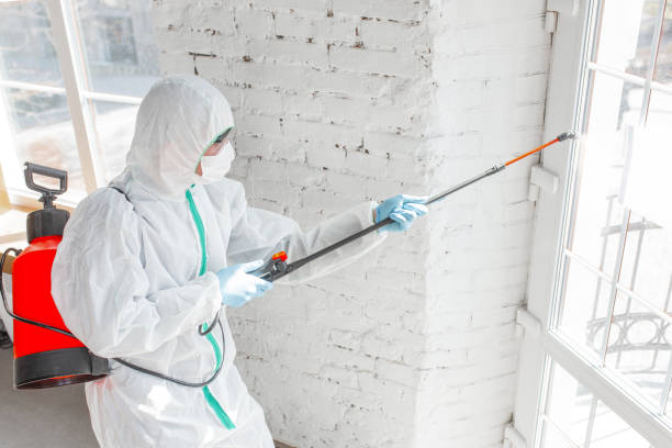 Best Forensic Mold Investigation  in Marshallville, GA